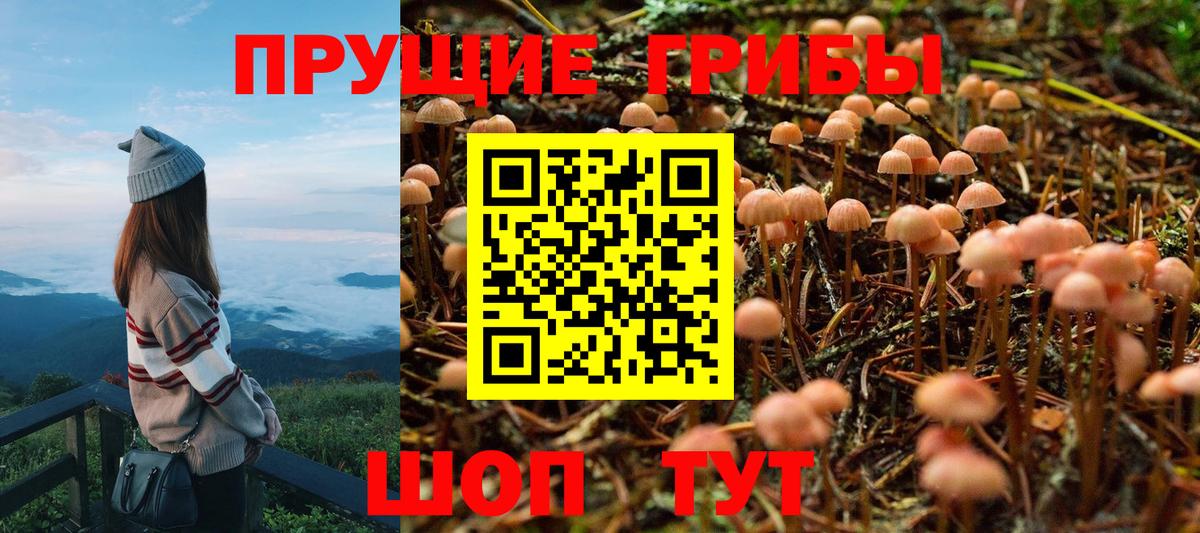 Галлюциногенные грибы MAGIC MUSHROOMS  Псилоцибиновые грибы прущие грибы  Лесозаводск  Вход с VPN 